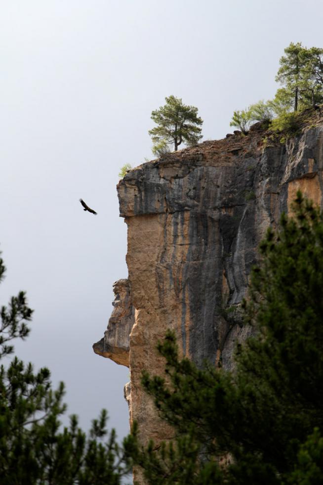 Naturaleza en estado puro